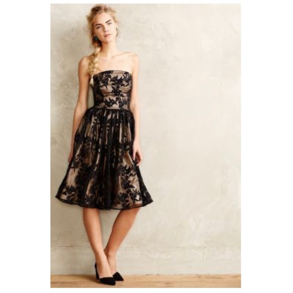 Rachel Antonoff Anthropologie Delancey Dress